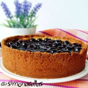Cheesecake-with-Blueberry-Topping