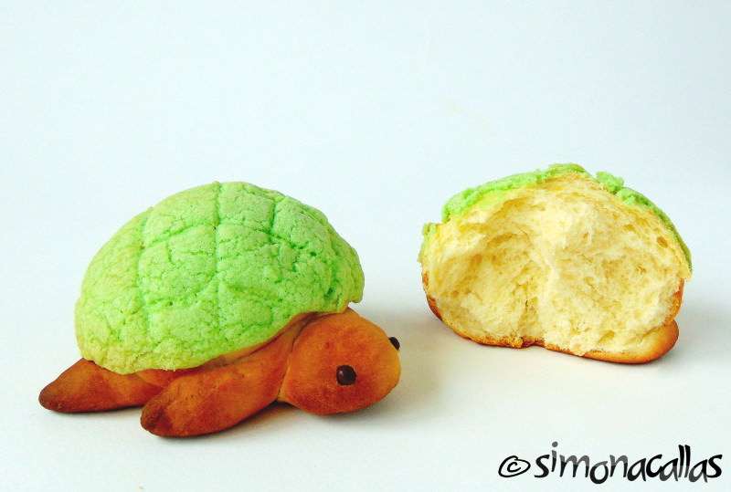 Sweet-Turtle-Buns-5