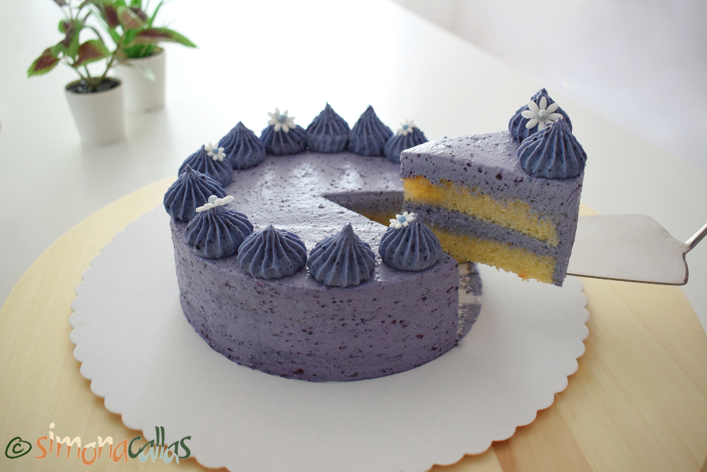 Blueberry Chocolate Cake Tort cu afine si ciocolata